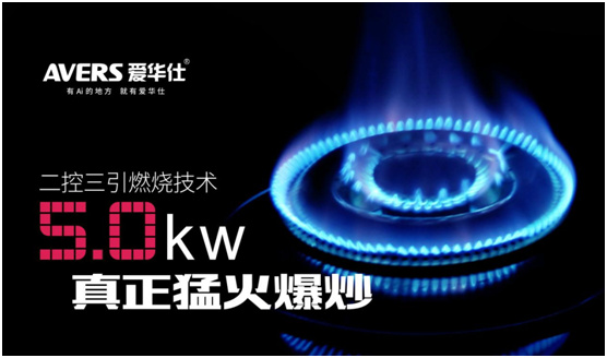 爱华仕厨卫电器荣获“中国十大燃气灶品牌”称号